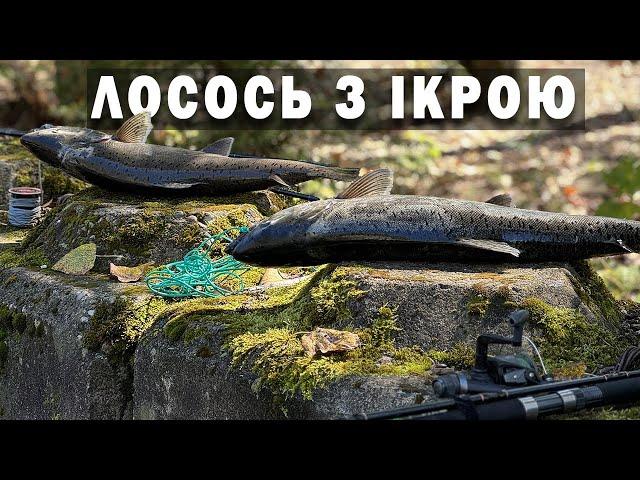 Рибалка на ЛОСОСЯ. Канада. Британська Колумбія