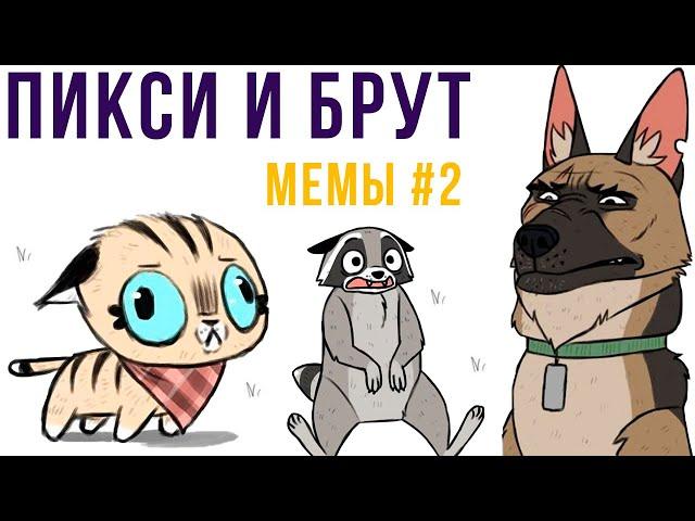 Пикси и Брут. Мемы #2 | Мемозг #371