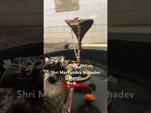 Shri Markandey Mahadev Mandir Gaya Bihar #bihar #travel #bodhgaya #harharmahadev #sawanspecial