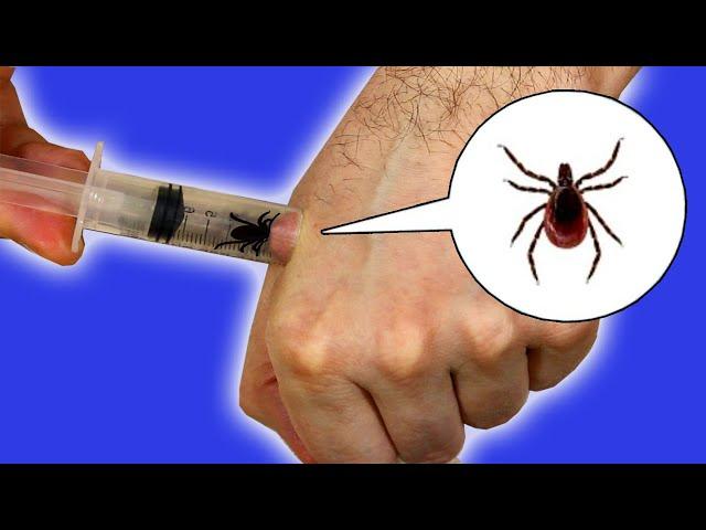 What happens if a TICK BITES? How does A TICK BITE? 5 Ways To Get The Tick Out. ENG SUB