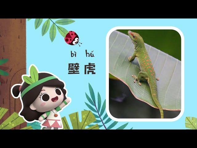 Early Learners | Why Geckos Abandon Their Tail? | Emmy&GooRoo Nature Class | Kids Cartoons [SUBS]