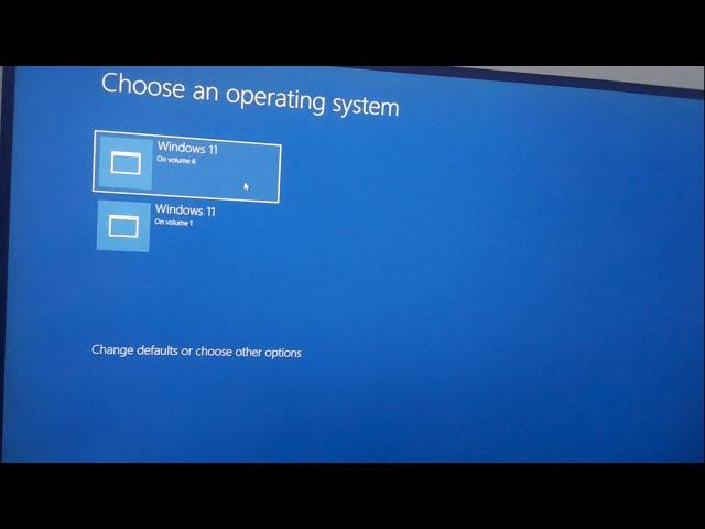 Disable Choose an Operating System at start up Windows 11, 10 - Dual Boot disable