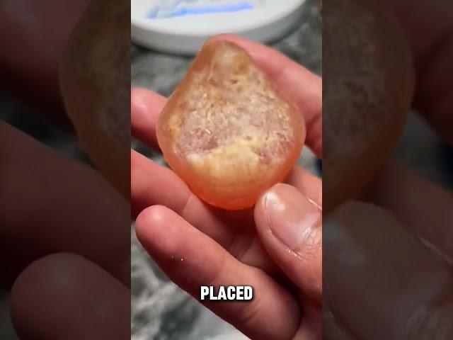 Transforming Black Carp Cartilage into a Premium Stone
