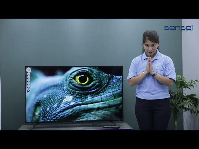 Sensei 4K UHD Android TV