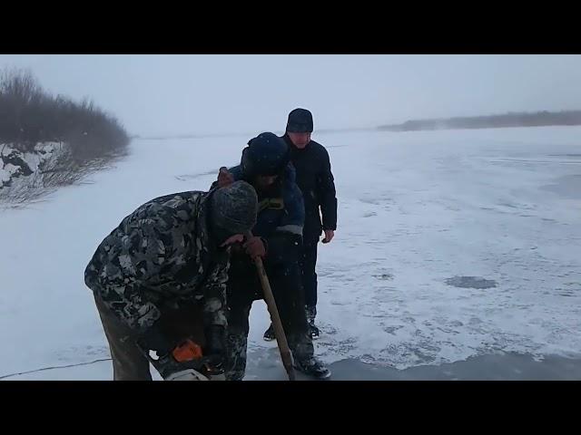 Жители Баргузина спасли изюбря из полыньи.