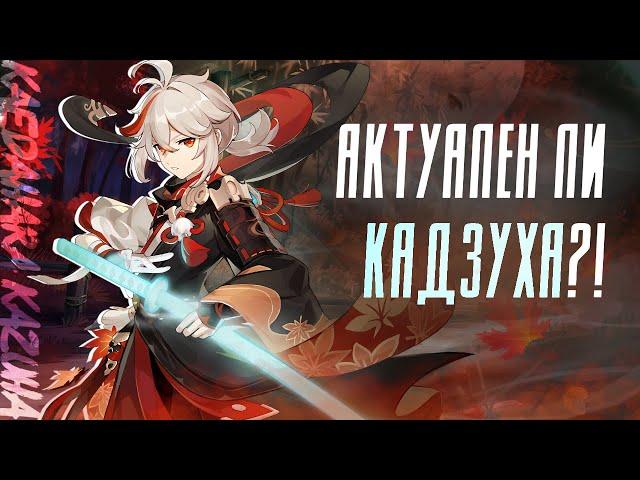 АКТУАЛЕН ЛИ КАДЗУХА? | Сигна или консты? Сравнение с другими героями | Genshin Impact 2.8