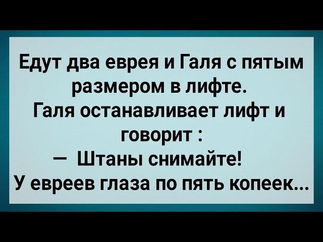 Как Галя с Евреями в Лифте Ехала! Сборник Свежих Анекдотов! Юмор!