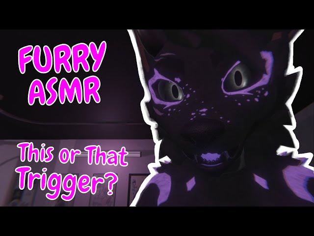 FURRY ASMR | This? Or that?