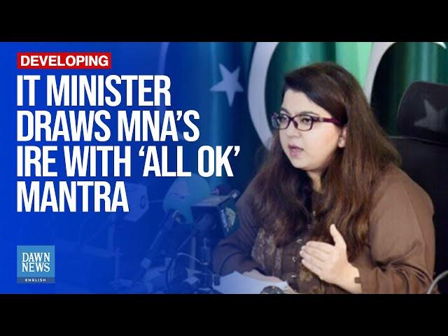 Minister Denies Internet Issues Impacting IT Industries | Dawn News English