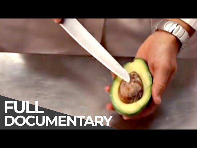 HOW IT WORKS | Bicycle locks, Tea lights, Avocado harvest, Wrapping paper | Episode 23
