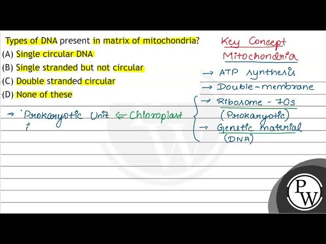 Types of DNA present in matrix of mitochondria? (A) Single circular DNA (B) Single stranded but ...