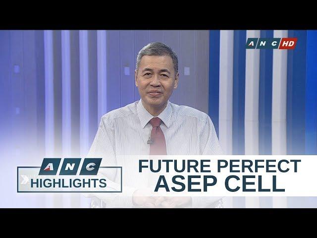 ASEP CELL: Achieving full rural electrification through renewable energy | Future Perfect