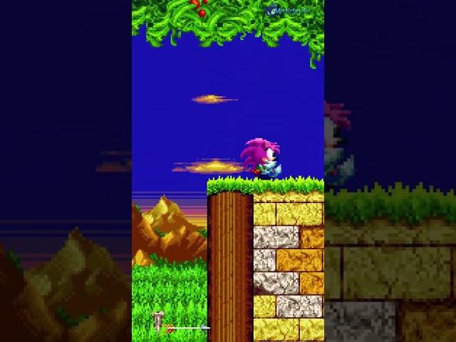 Playable Amy Rose in Sonic 2 Mania! ~ Sonic Shorts ~ Sonic Mania Plus mods