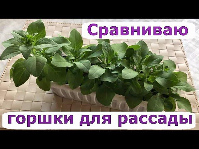 436  Сравниваю горшки для рассады