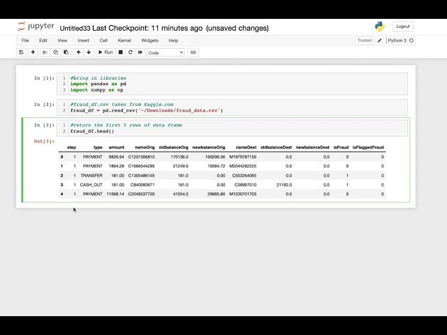 Reading a CSV file into a Pandas Data Frame: Fraud Data