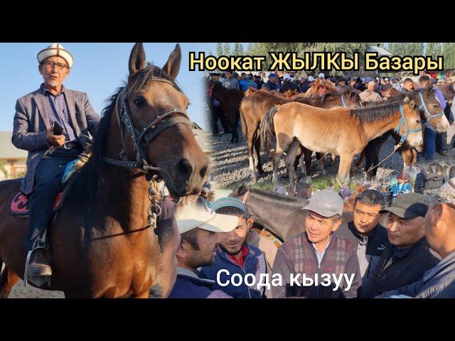 СООДА КЫЗУУ БОЛДУ  НООКАТ ЖЫЛКЫ БАЗАРДА