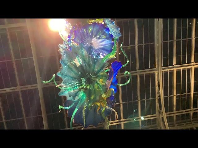  НОЧНАЯ СКАЗКА ДЕЙЛА ЧИХУЛИ, ЛОНДОН, 2019  CHIHULY NIGHTS in Kew Gardens, London, 2019