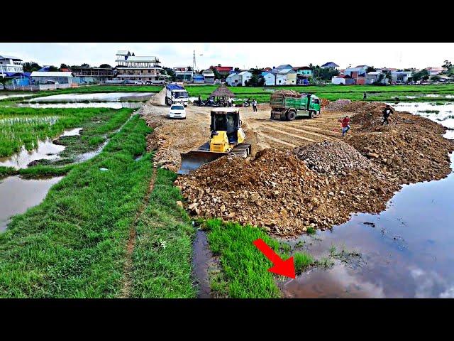 Start A New Action !! Bulldozer KOMATSU D53PX And Dump Truck 15Ton Pouring Soil To Delete Deep Pond