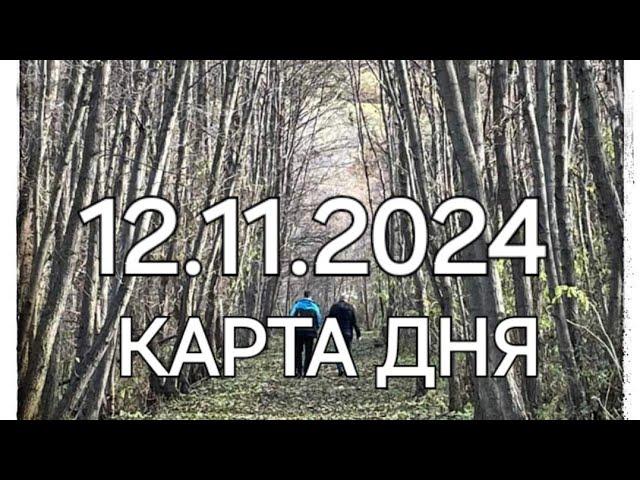 12 ноября 2024 | карта дня | все знаки зодиака 🃏