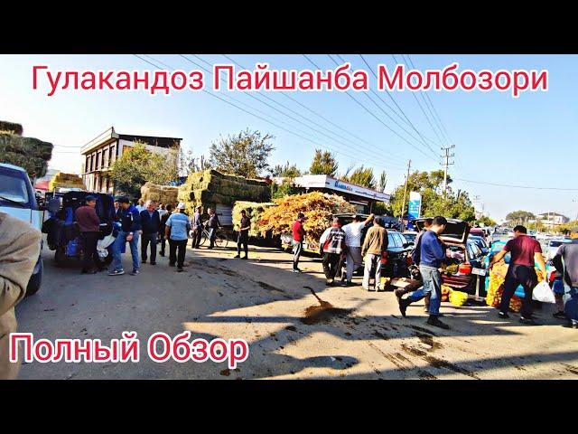 Гулакандоз Пайшанба Молбозори. Полный Обзор.21.09.2023.