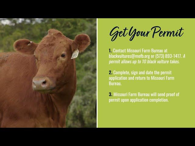 Apply for a Permit with the Missouri Farm Bureau