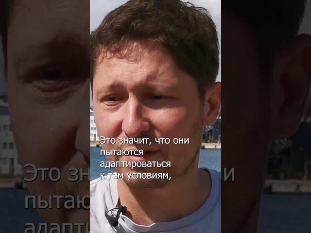 Украина не протестовала в Советском Союзе | #shorts #очевидцы #тв2