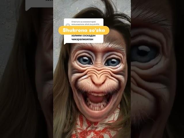 yalmogiz kampir