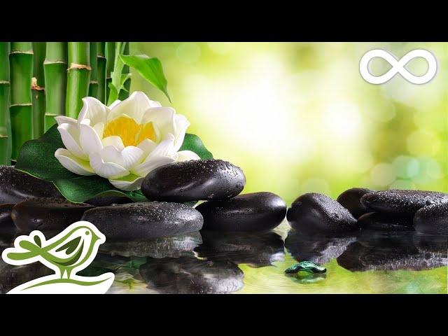 Lotus Flower: Bamboo Water Sounds & Calm Piano Music for Spa, Massage, Sleep & Relaxation