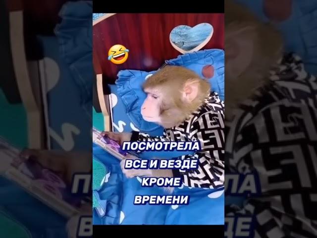 хотела взглянуть на время, VID 20231209