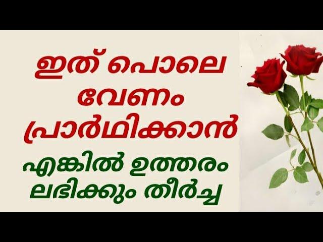 പ്രാർത്ഥന വിശ്വസിയുടെ ആയുധം | ഷാഫി സലഫി പട്ടാമ്പി | motivation speech