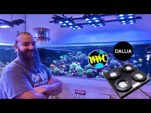 World Wide Corals x Dalua Illumagic X4 Lighting 500 Gallon Reef Tank