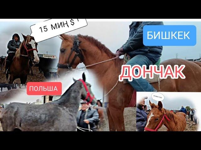 ЖЫЛКЫ БАЗАР ПРИГОРОДНЫЙ МАЛ БАЗАР БИШКЕК БЭЭЛЕР ӨСПҮРҮМ ТАЙЛАР КУЛУНДАР КИРДИ 12/10/24/