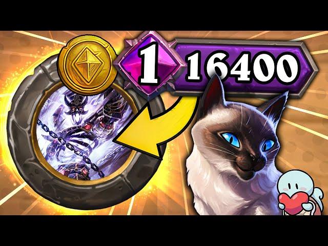 The BEST Cat game you'll EVER Watch! | Hearthstone Battlegrounds