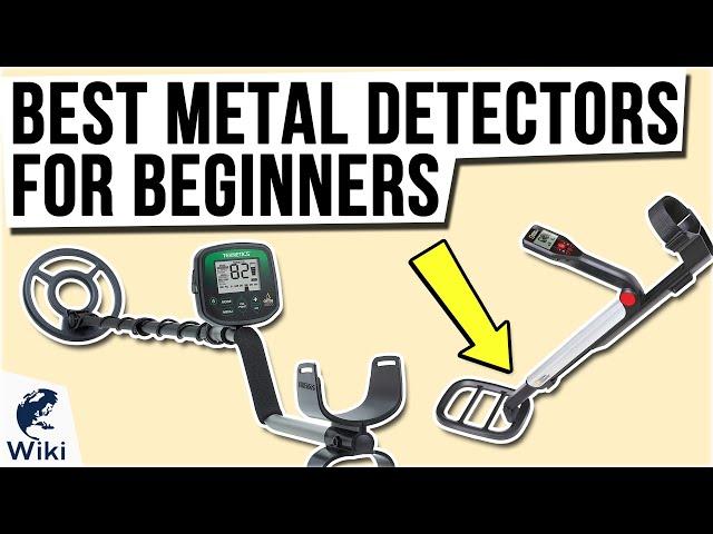 10 Best Metal Detectors For Beginners 2020
