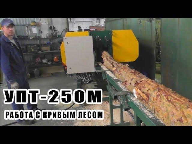 Станок для  тонкомера УПТ 250М.  Работа с кривым лесом.