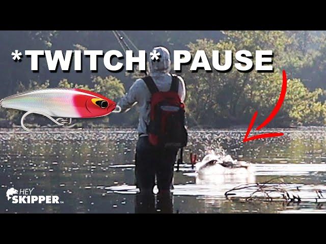 3 Beginner Lure Fishing Mistakes + How To Fix Them!