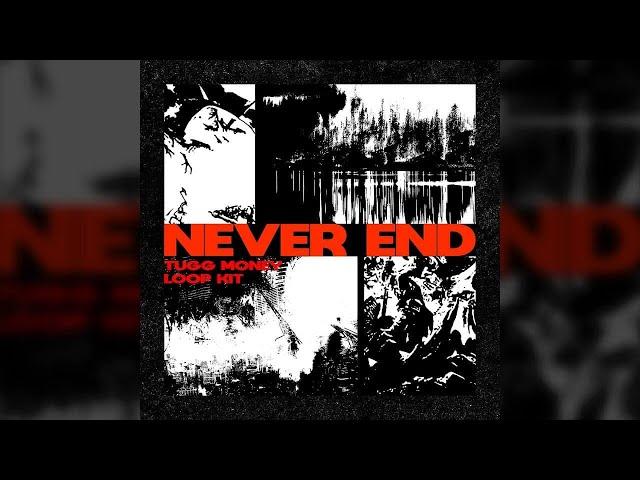 [FREE] LOOP KIT 2022 - "Never End" (Nardo Wick, Future, Section 8, Chi Chi, Southside, Pyrex Whippa)