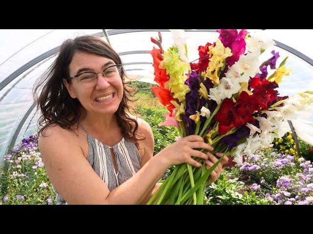 1000 Gladiolus Are Blooming!  Fun With Flowers