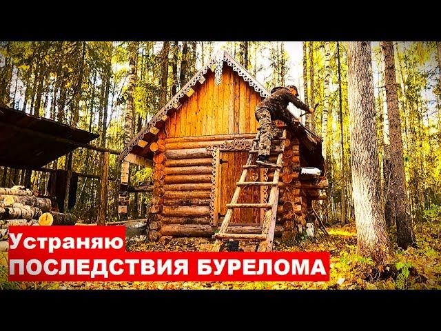 Ремонт избы после бурелома. В ТАЙГУ с ночёвкой. Металокоп. Лесные находки.