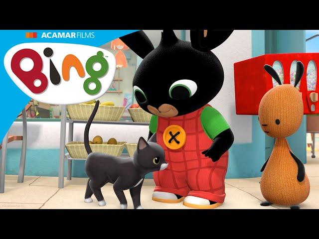 Bing sangat sayang kucing Arlo! | Bing Bahasa Melayu