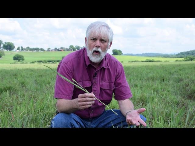 Grazing Management (full course)