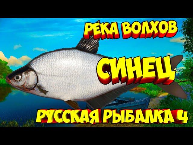 русская рыбалка 4 - Синец река Волхов - рр4 фарм Алексей Майоров russian fishing 4