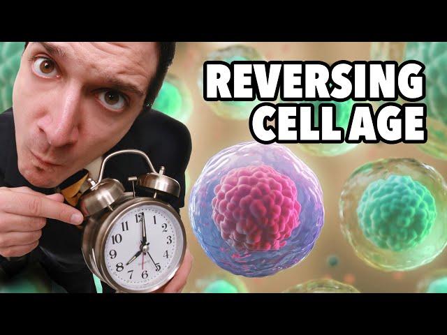 Reversing Cell Age, Suppressing Cell Identity, Can Ontogeny Be Reversed? - Jacob Kimmel Lifespan.IO