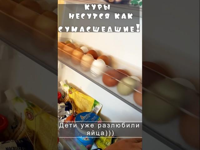 НЕ УСПЕВАЕМ СЪЕДАТЬ ЯЙЦА! ПРИДЁТСЯ РАЗДАТЬ ПО СОСЕДЯМ #дача #diy #home #дом #куры #несушки