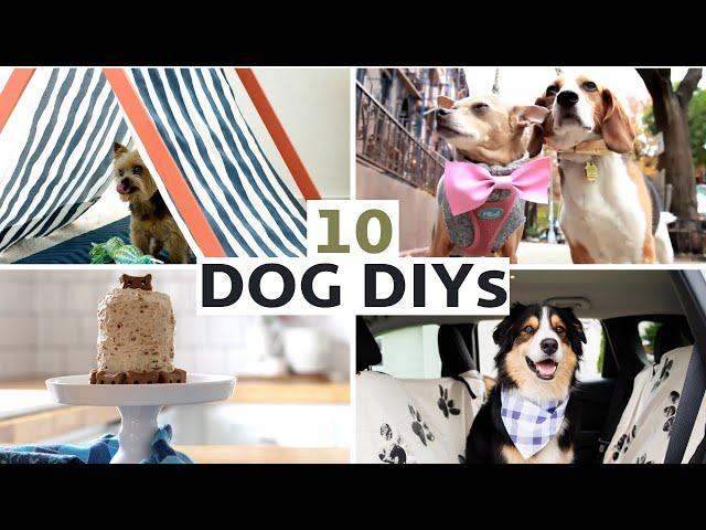 10 DIY Projects For Your Dog