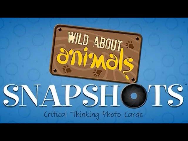 Wild About Animals by Learning Resources UK