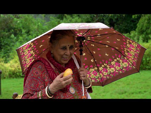 Aam ke Baagh Aur Hum  -  Exploring the Mango Orchards of Amroha