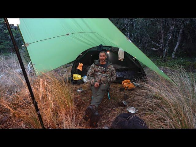 CAMPING in RAIN on Mountain - Dog - TENT and TARP