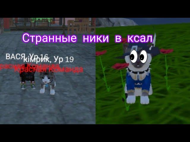 Странные ники в Cat Simulator Animal Life 1часть.