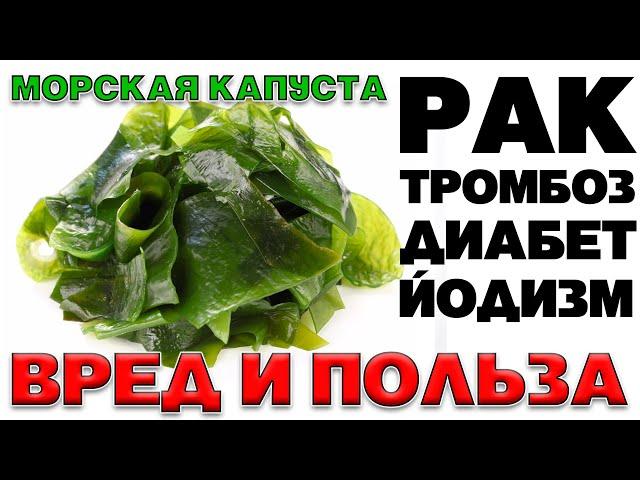 МОРСКАЯ КАПУСТА (ЛАМИНАРИЯ) - ПОЛЬЗА И ВРЕД. УДИВИТЕЛЬНЫЕ КАЧЕСТВА МОРСКОЙ КАПУСТЫ